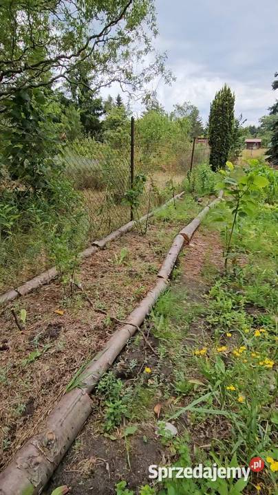 Działka ROD Bajka Żagań 450 m wlasne wejście 40zł/m2