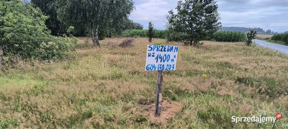 Działka budowlana Babiec Więczanki gm Rościczewo Rościszewo