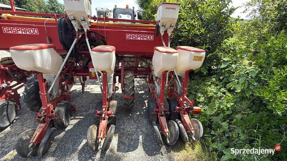 Siewnik do kukurydzy talerzowy Gaspardo 6 Gaspardo Września