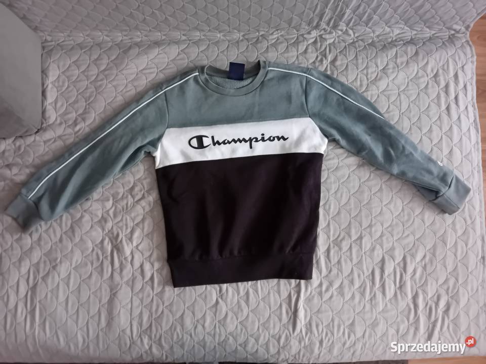 Dres Champion 126131 świętokrzyskie Kielce