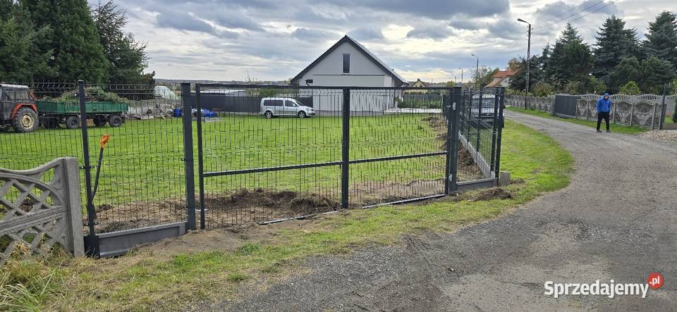 Ogrodzenia Panelowe SUPER CENY Szybki czas Jarocin