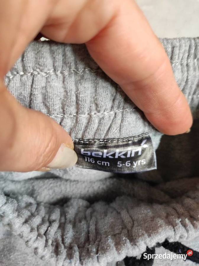 spodnie spodenki chłopca bawełniane sportowe Kielce