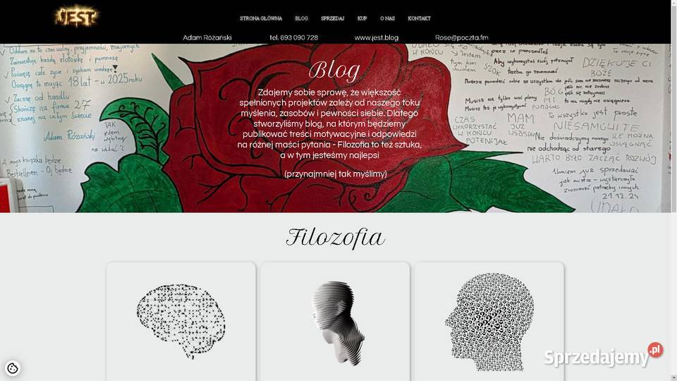 STRONA INTERNETOWA NA ZAMÓWIENIE Sklep sprzedam