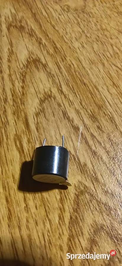 Buzer 6V głośny Białystok
