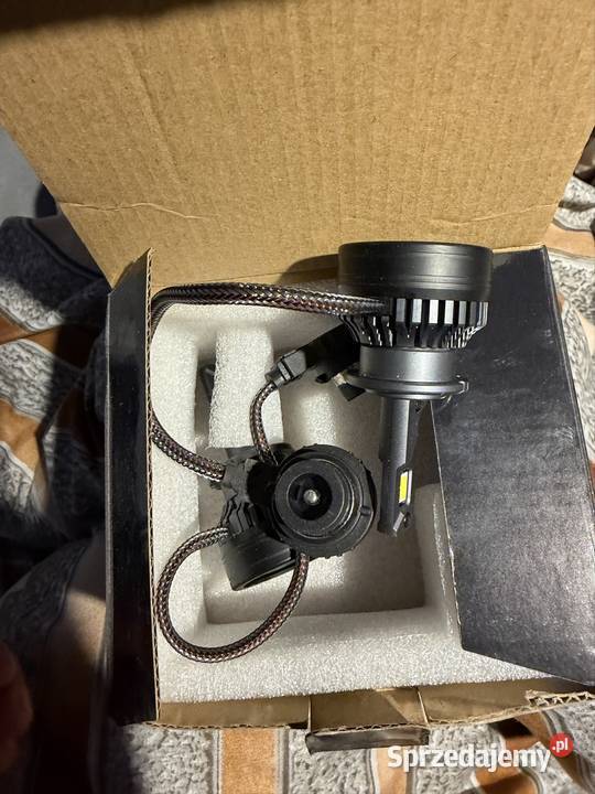 Żarówki d2s led osobowe Żarówki samochodowe Żarówki samochodowe Wieruszów