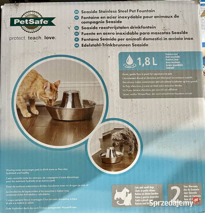Drapak kota Zielina
