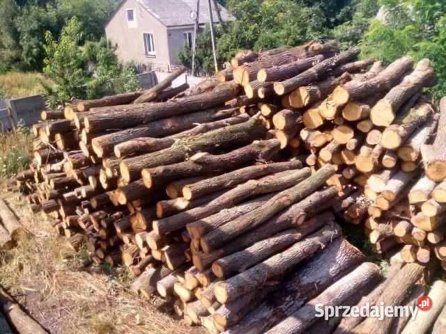 sprzedaż drewna opałowego kominkowego Piekoszów