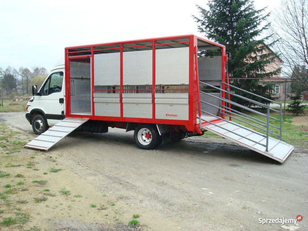 IVECO 35C11 VIEHTRANSPORTER DO PRZEWOZU ZWIERZĄT Kolbuszowa