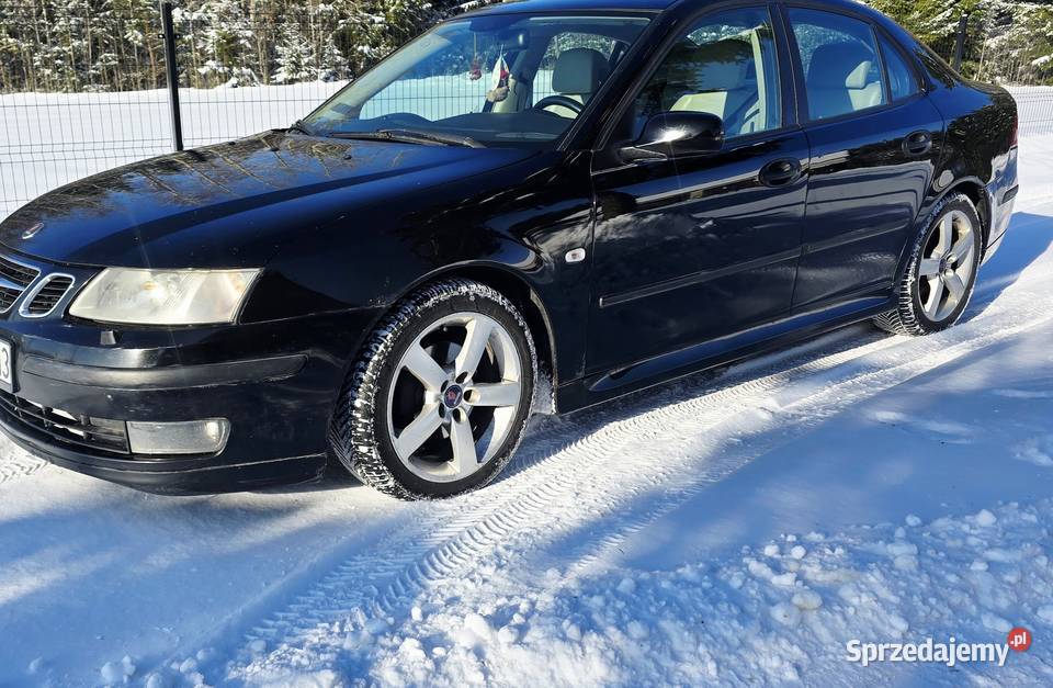 Saab 93 19 150 koni Augustów