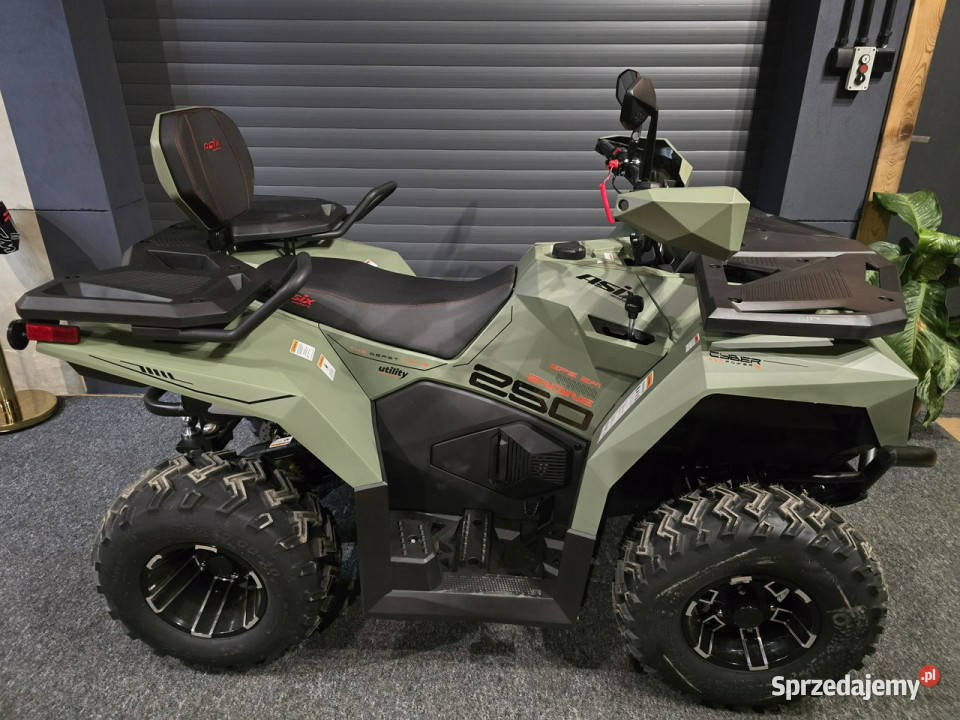 ASIX Inny ASIX CYBER 250 rrHIT na rynku HIT Stare Miasto