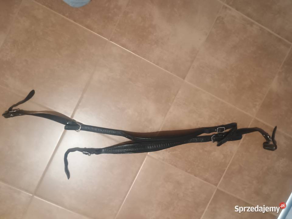 Akordenon Pasy nosne Nowa Dęba