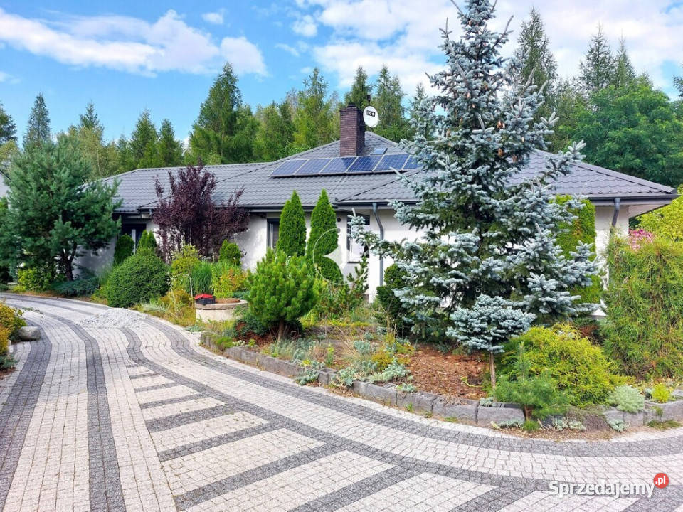 Luksusowa posiadłość w Piszczacu Pierwszym 13000m2 Piszczac