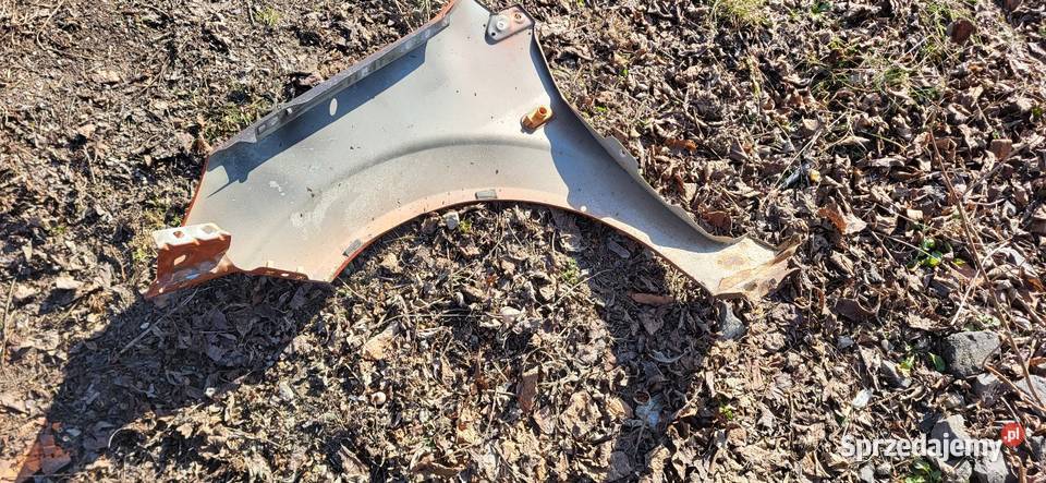 Błotnik Prawy Ford Fiesta MK6 przed FL Żabno