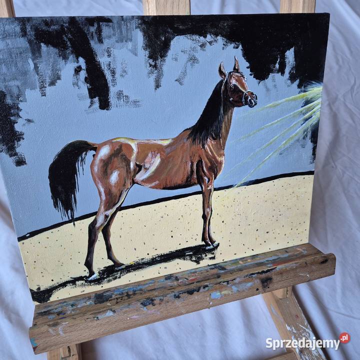 Obraz koń arabski arab stadnina białka Janów Brzesko