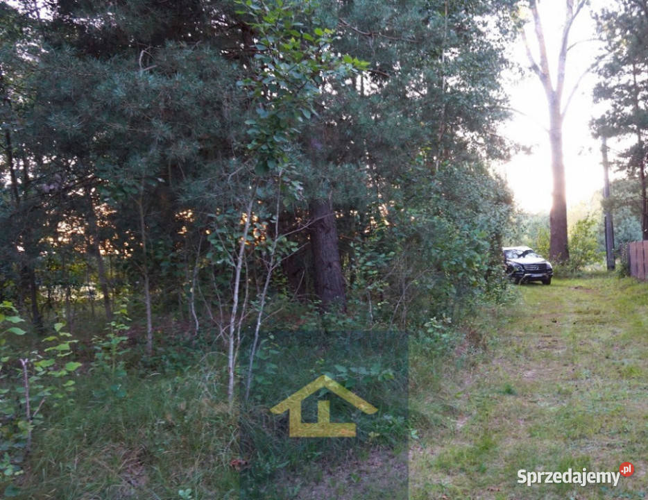 Działka letniskowa w pobliżu Narwi Sprzedaż Ostrykół Dworski sprzedam