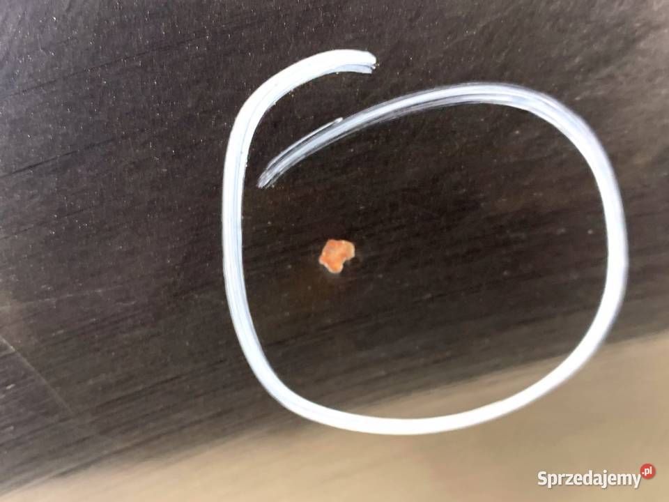 DRZWI LEWY TYŁ VW PASSAT B7 SedanLimuzyna 1015