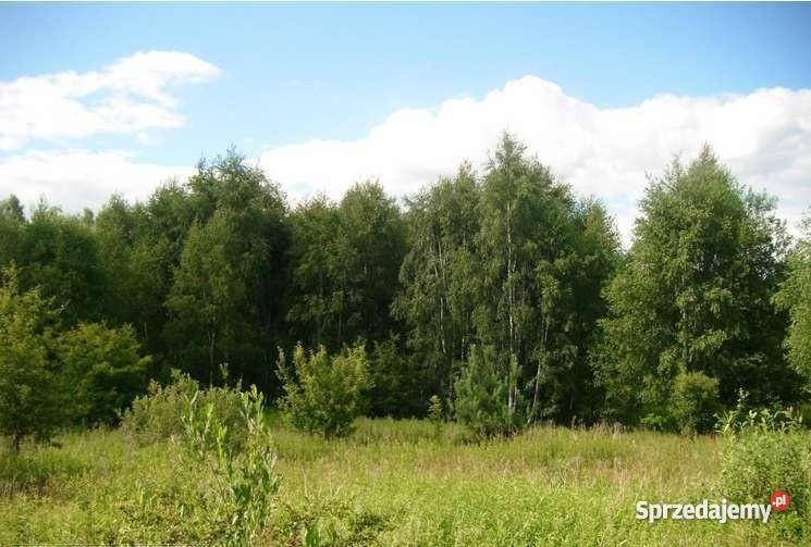 Gardeja działka budowlana26000m2 działki 1200m2 pomorskie Gardeja