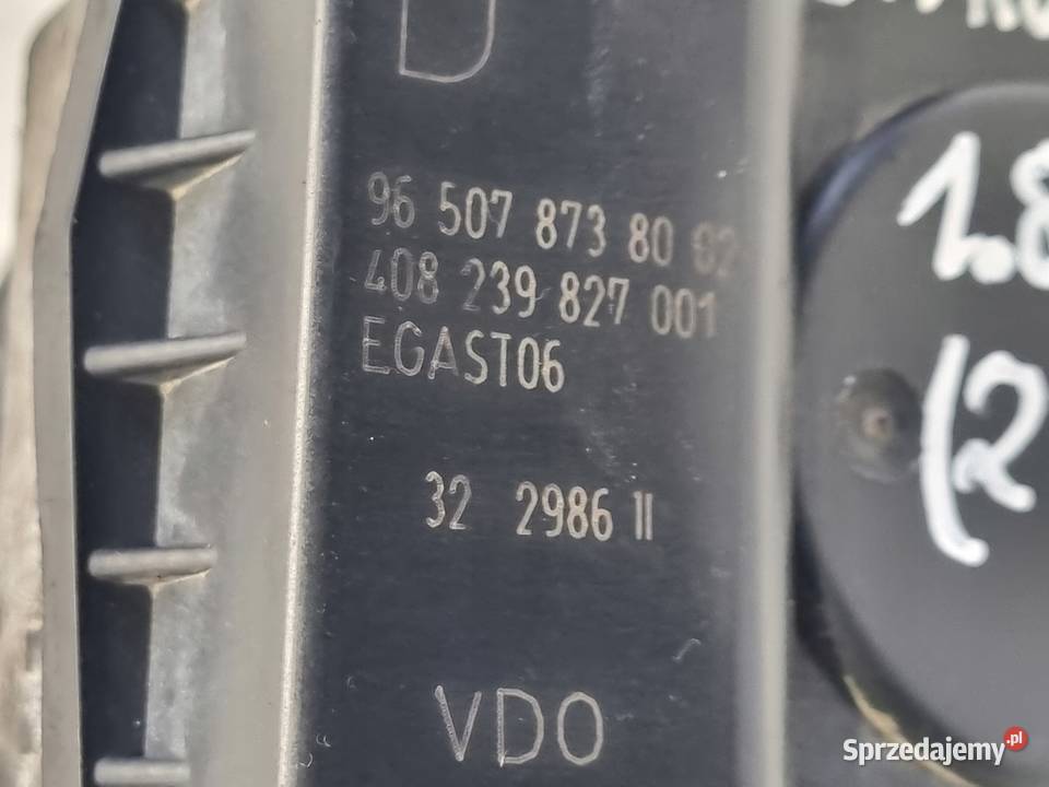 PRZEPUSTNICA Citroen C5 I LIFT 18 16V Chełm