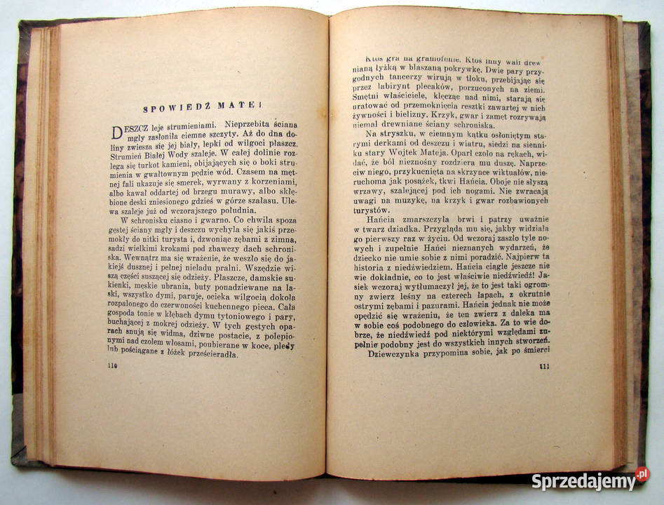 Pojednanie Powieść o niedźwiedziu tatrzańskim literatura piękna - proza polska