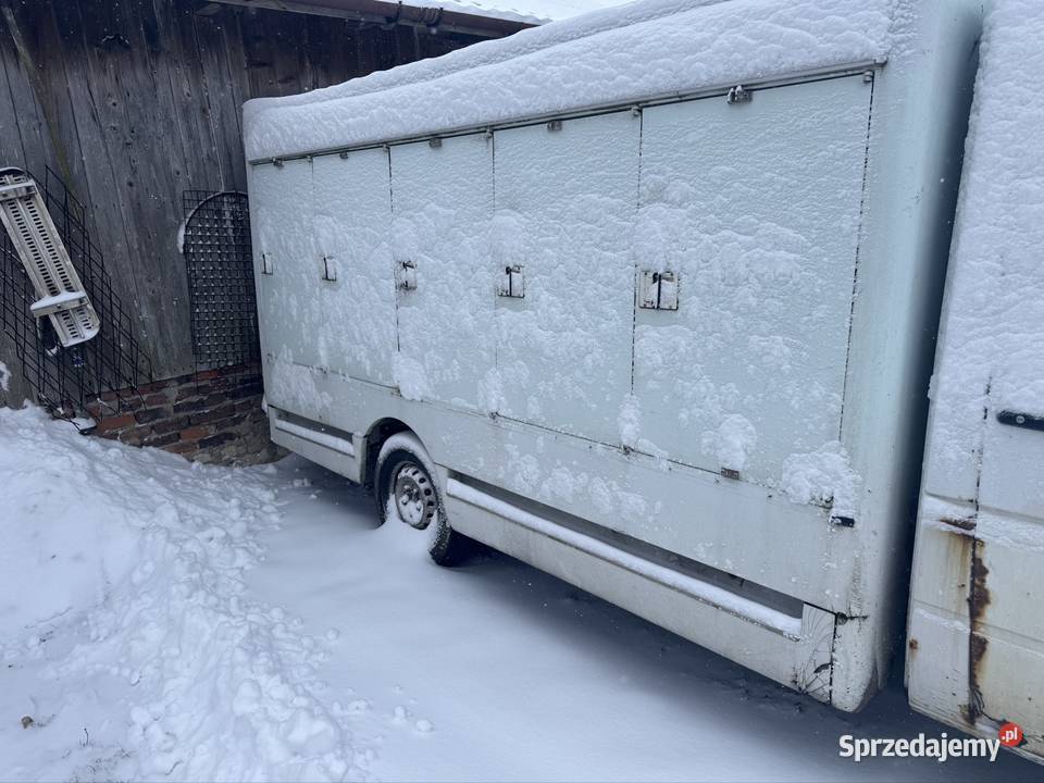 Mercedes Sprinter 311 chłodnia komorowa Skała