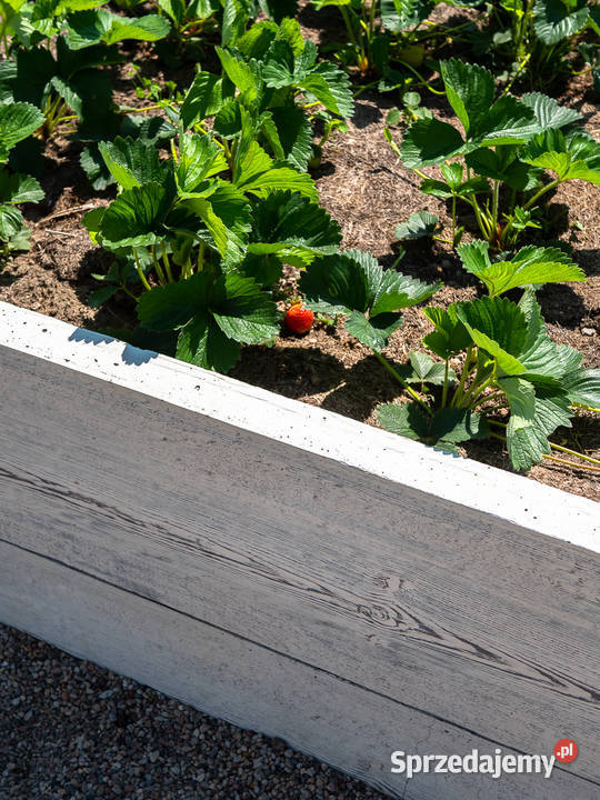 Skrzynia inspektowa warzywniak eko donica podkarpackie Rzeszów