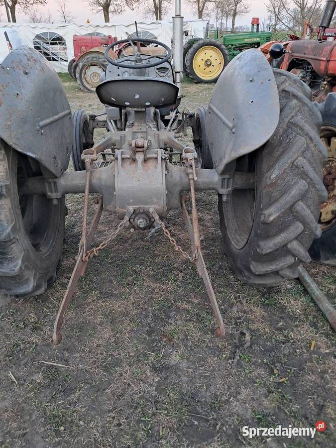 Ferguson TEA Gniewkowo