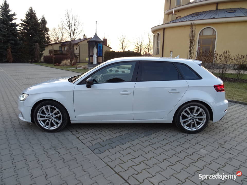 Audi A3 Serwisowany Zarejestrowany Navi Xenon 20 Rzeszów