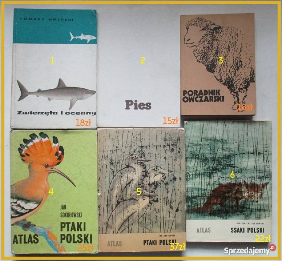 Weterynaria farmakologia zoologia choroby łódzkie Łódź