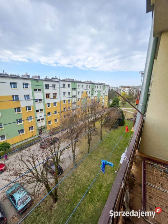 Ogłoszenie mieszkanie 468m2 2 pokojowe Sieradz