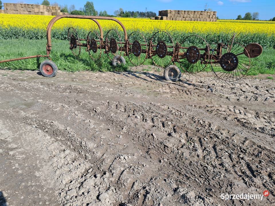 Zgrabiarka do siana 7 gwiazdowa Jeżów