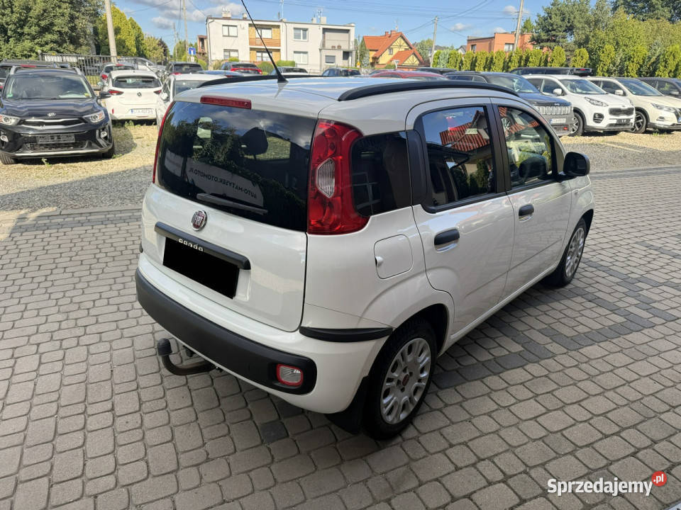 Fiat Panda 12 69 Klimatyzacja 1Właściciel III serwisowany w ASO Panda Orzech