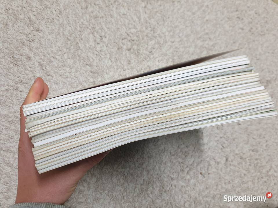 Zestaw komiksów 20 komiksów polskie wydania pomorskie