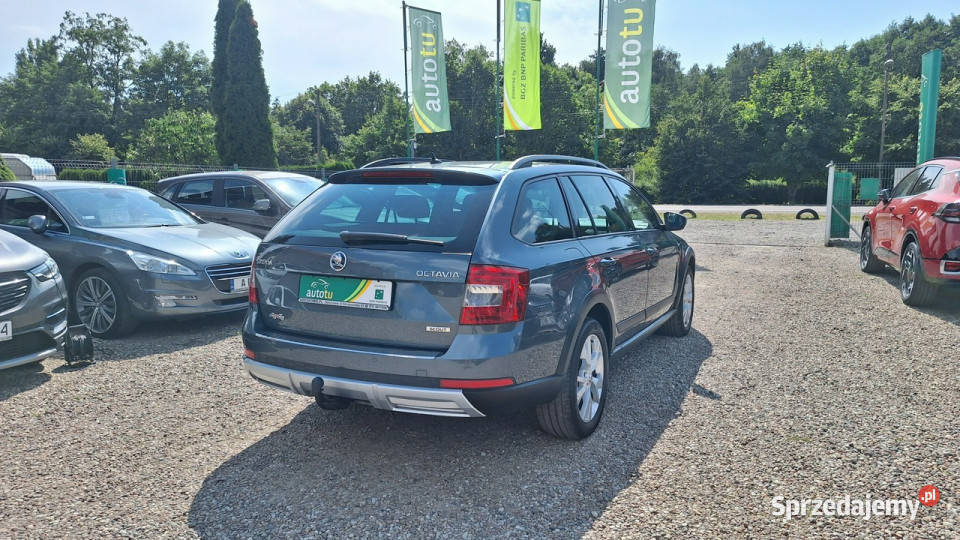 koda Octavia Skout 20 180 4x4 DSG III 2013 światła przeciwmgielne Zieleniewo