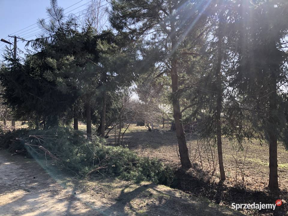 Działka ROD Zalesie Rzeszów