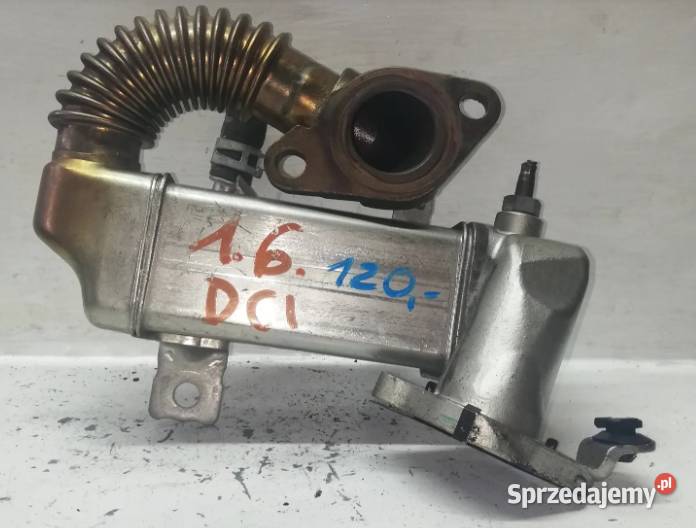 Chłodnica Spalin Renault 16 DCI 147350678R Suchedniów sprzedam