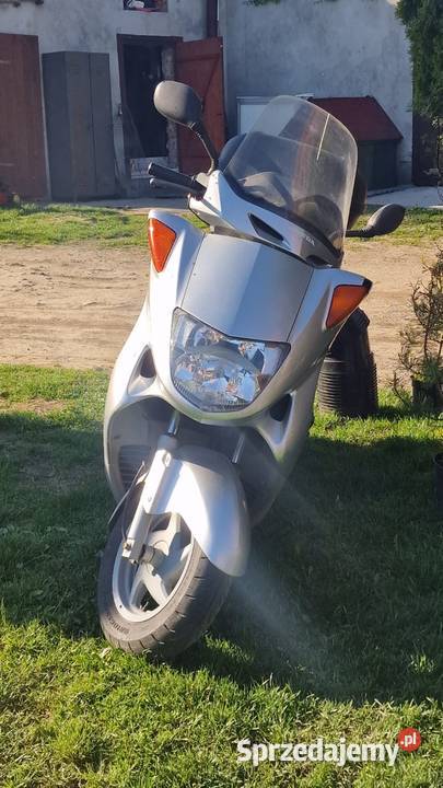 Niezawodna Honda phanteon 125