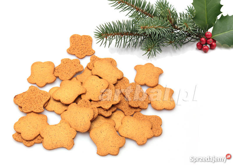 EKo woreczki z nadrukiem LOGO Piotrków Trybunalski