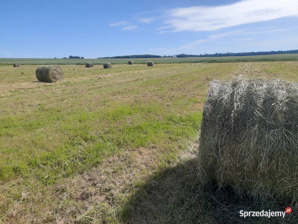 Balot baloty siano 2026 ekologiczne Gorzyno