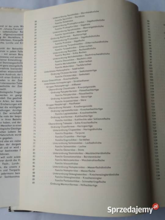 URANIA TIERREICH Fische Lurche Kriechtiere sprzedam