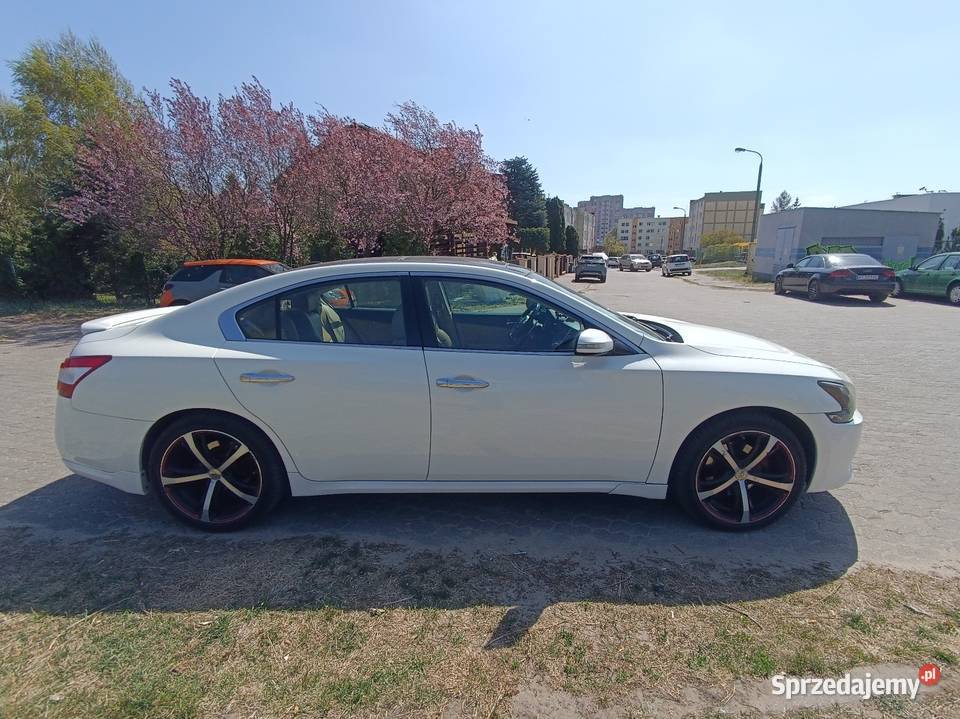 Nissan Maxima A35 wygodna limuzyna biała 4/5 Bydgoszcz