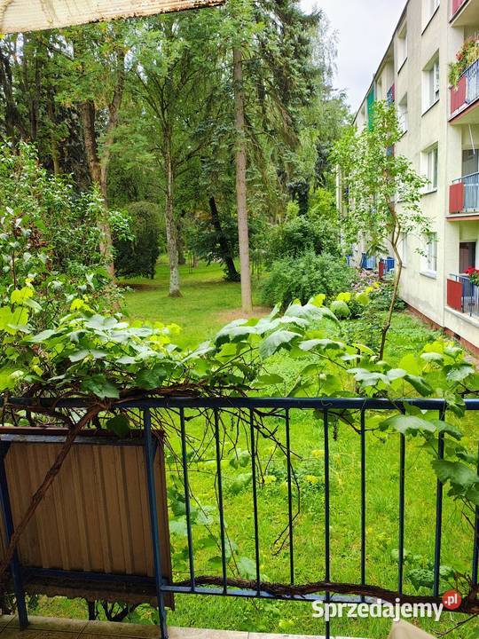 Sprzedam mieszkanie Lublin sprzedam