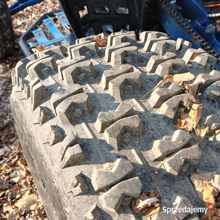 Bashan 200 Pokrzywnica