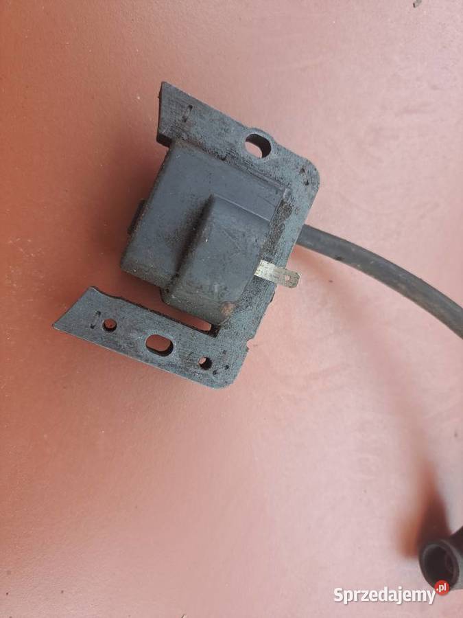 Cewka Tecumseh Małogoszcz