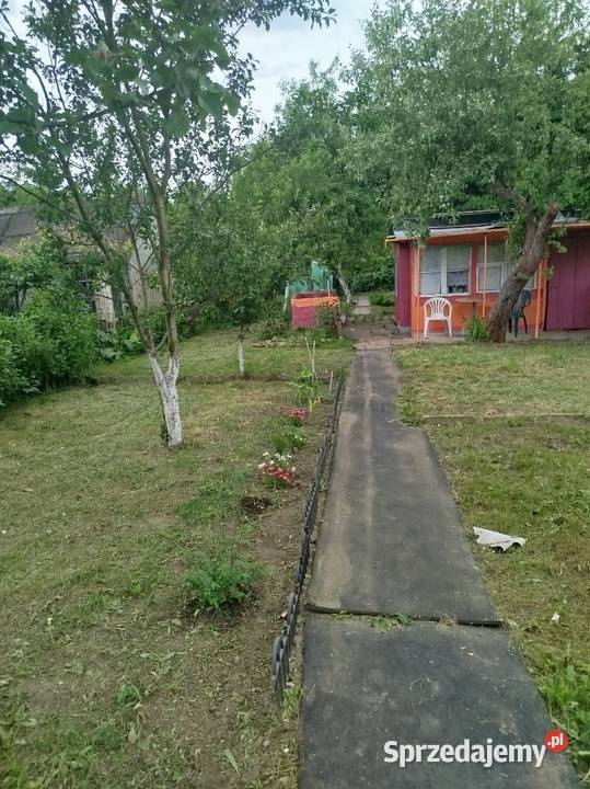 Sprzedam działkę rod rekreacyjna