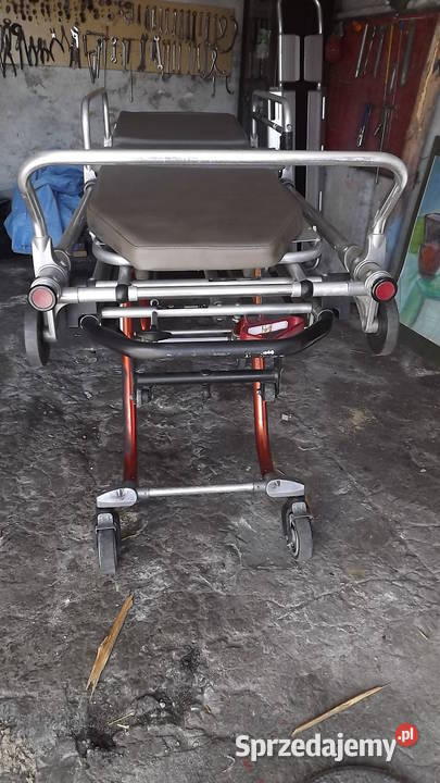 nosze ferno Drągowina