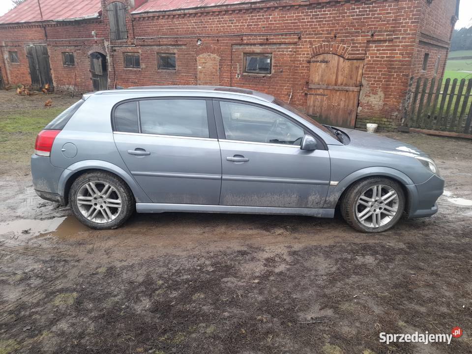 Opel Signum 19 tdi 150 spalanie 4 litry Signum Toruń