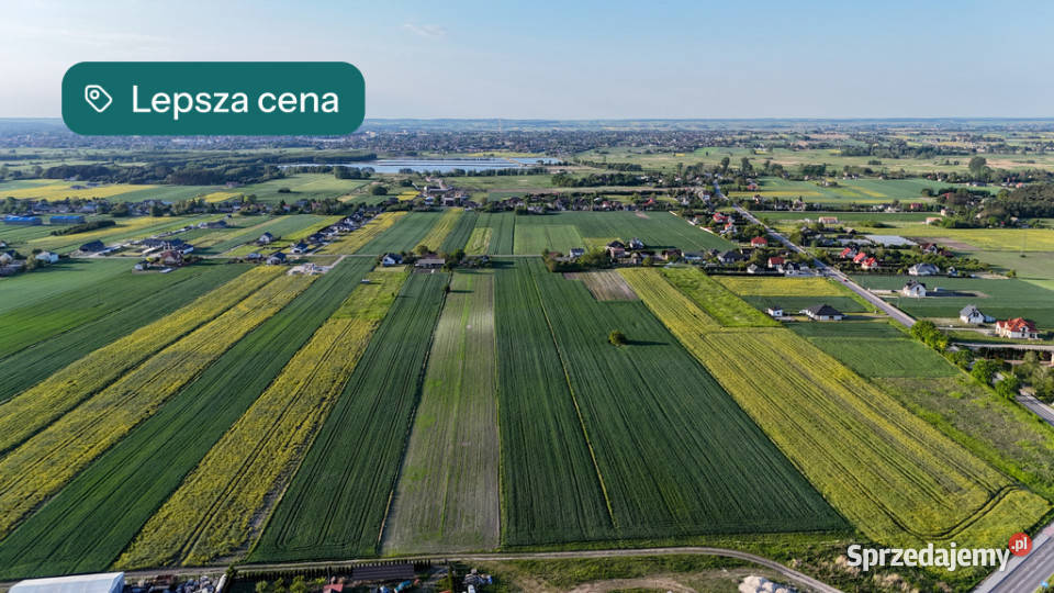 działki z WZ koło Zamościa Pniówek