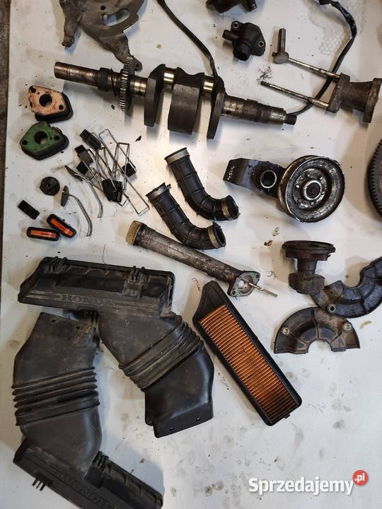 Honda 4514 kosiarka kruciec napinacz cewka pomorskie Wiele