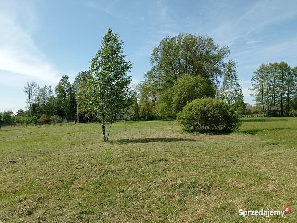 Sprzedam działkę budowlaną 3800 m2 Wola sprzedam