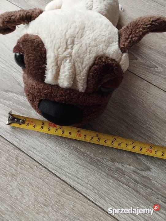 pies pluszak maskotka kolejny Poznań sprzedam